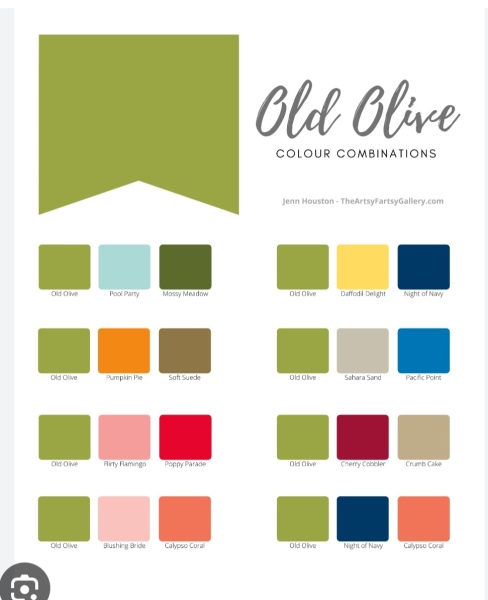 What colour walls would you have with his colour bed frame?