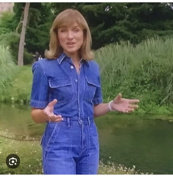 Fiona Bruce was wearing a blue jumpsuit tonight...