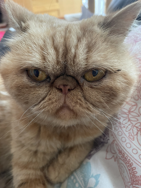 Potential new inmate at Toddler Towers.