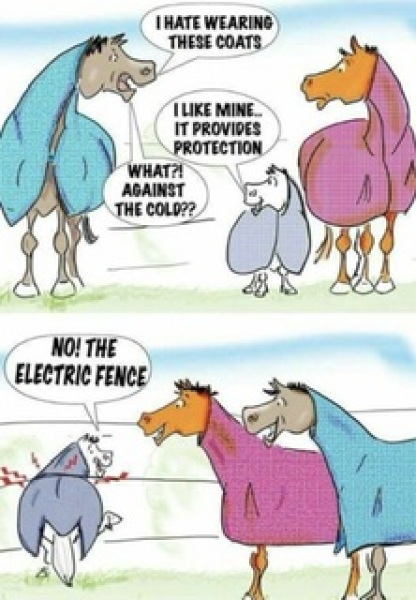 Why do horses get coats and cows don't?