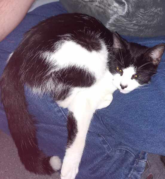 Uninvited guest, now what?