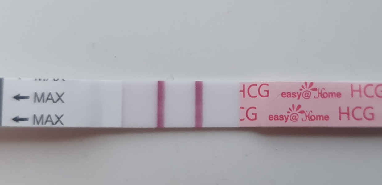 Due June 24?