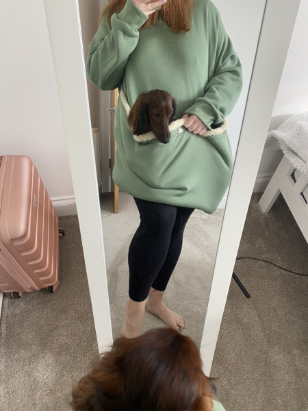 Dachshund issues