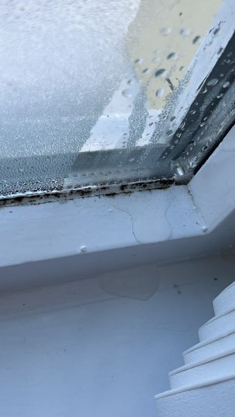 Damp in house?