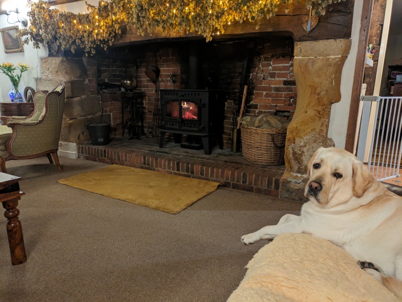 Fireplaces and logburners - have you got yours lighted yet?