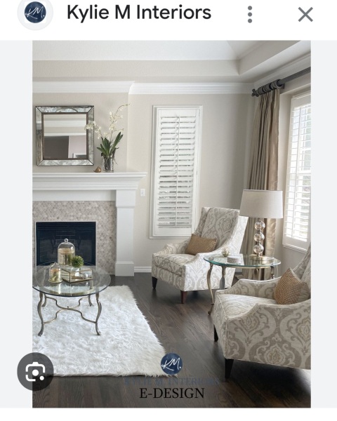 Olive/warm green paint