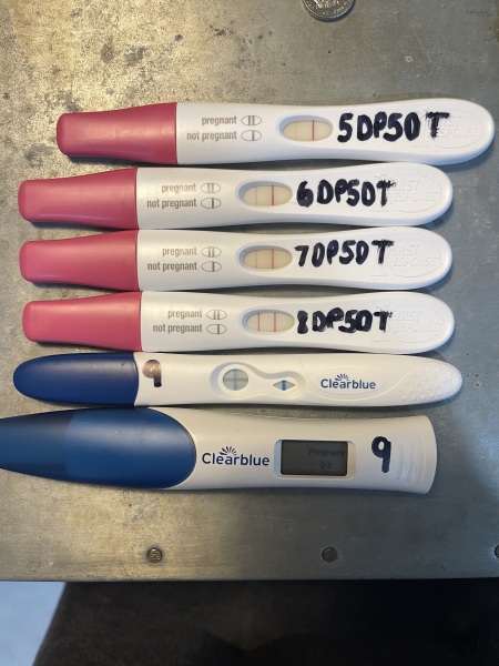 9DP5DT BFP 2-3 weeks clear blue digital - is that right!?