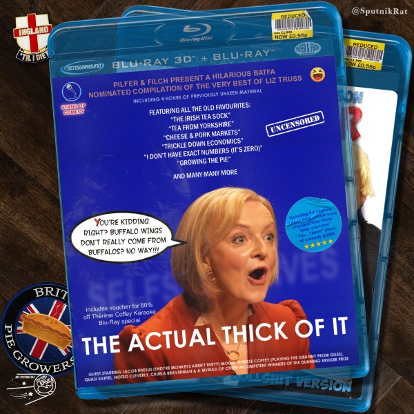 To wonder how Liz Truss has the audacity to push herself back into the spotlight again?