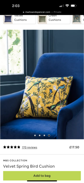 What cushions with this blue velvet sofa ??