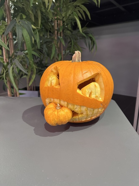 Show my your pumpkins