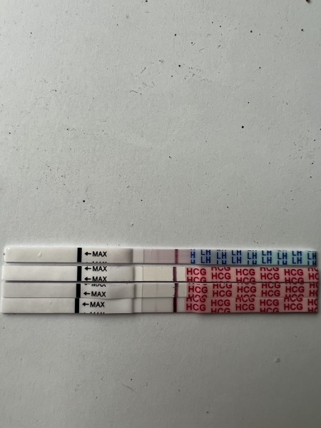 A line eye enthusiast #2