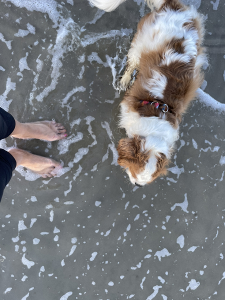 I'm having a weekend at the seaside ALL BY MYSELF!