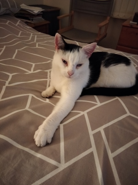 Potential new inmate at Toddler Towers.