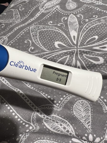 Due June 24?