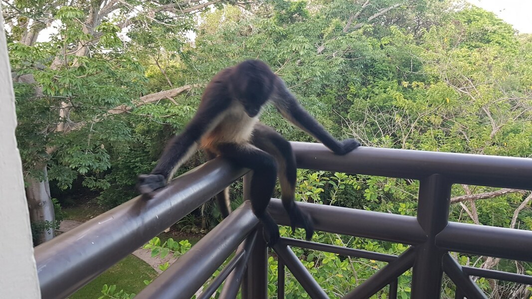 Mexico - Cancun recommendations