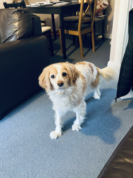 Cancer support thread 90 - still the best threads no one wants to be on