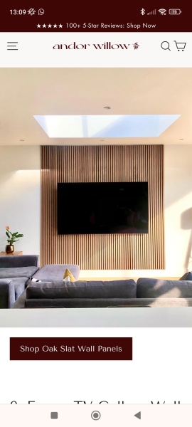 Living room feature wall advice