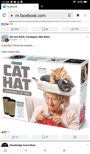 Further Adventures of the Excellent Cats