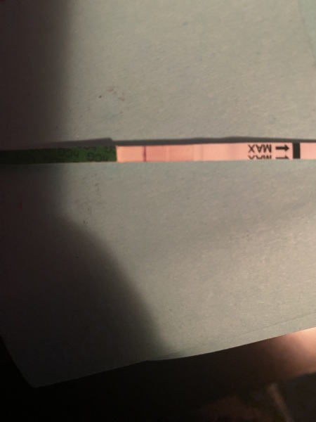 Preg test faint line.... preg or not preg?
