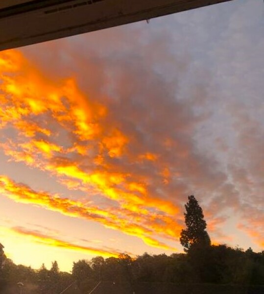 Any Witches Here?- Part 19