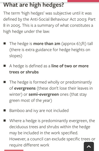 Who owns a hedge