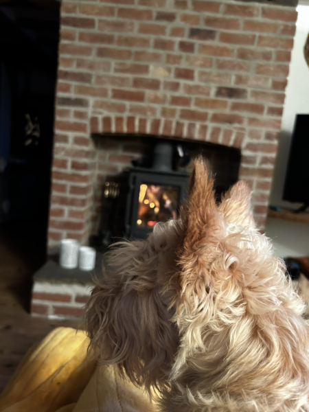 Fireplaces and logburners - have you got yours lighted yet?
