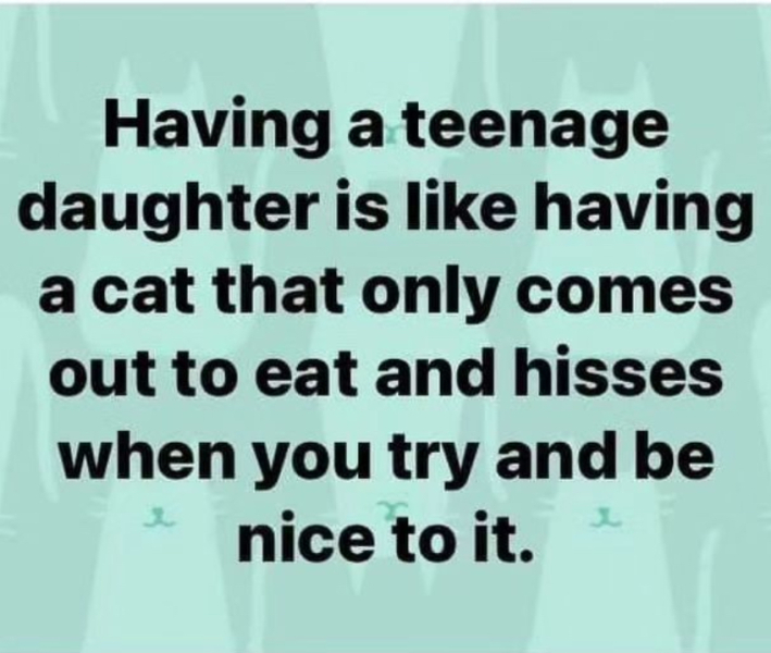 Anyone other mums really struggling with 11yr old daughter literally hating you :(