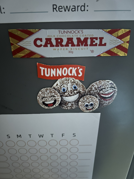 A Mumsnet thread about a book about a Mumsnet thread “Under the Duvet of Darkness” written by the women of Mumsnet THREAD 2