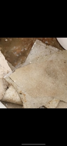 Not getting house from council -would you be sad about it?
