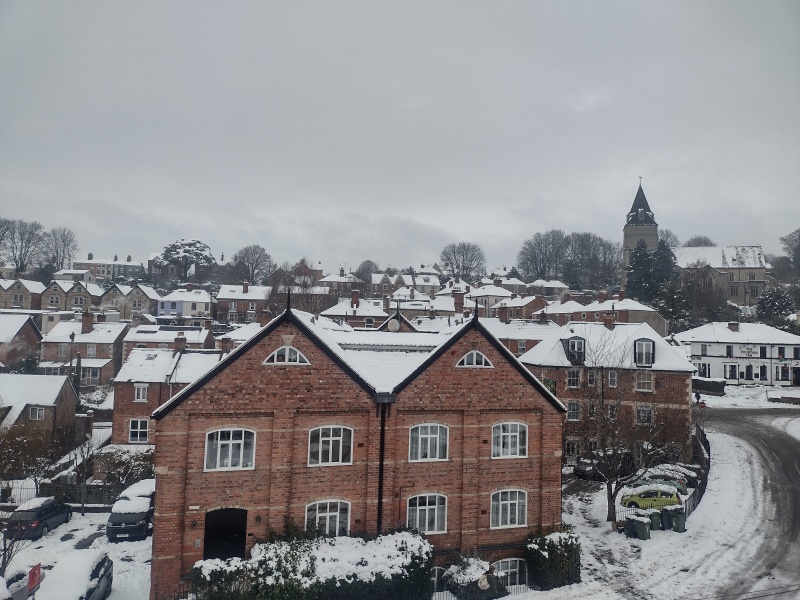 what do you enjoy looking at out of your windows?