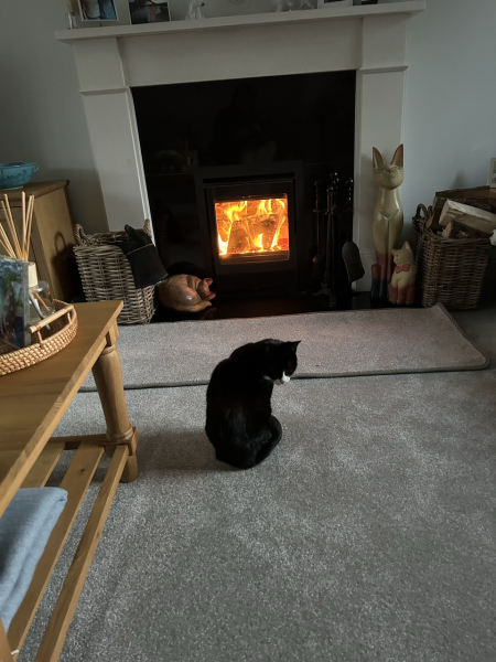 Can we please see pictures of your fireplaces and log burners ?