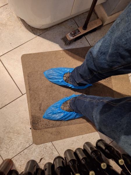 Thread 10 - TalkLair: “The candle flame gutters. Its little pool of light trembles.”