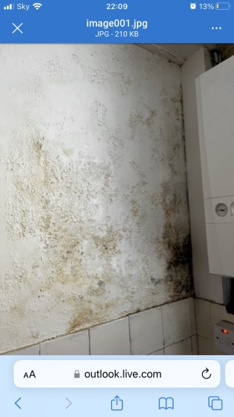 Blocked gutter - damp