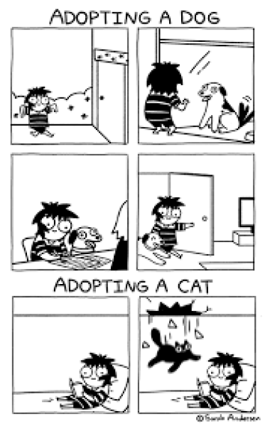 Neighbours asking me to “cat sit”