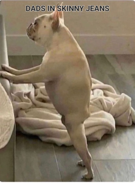 Divorced men over 40 on OLD