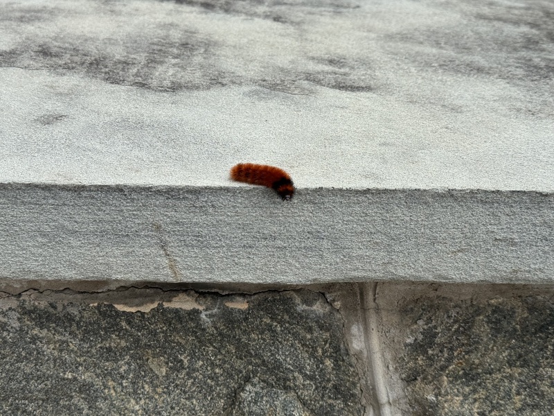 Come and tell me your dull and unexciting news 27: Calmly through the day