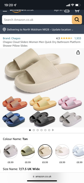 House shoes or slippers