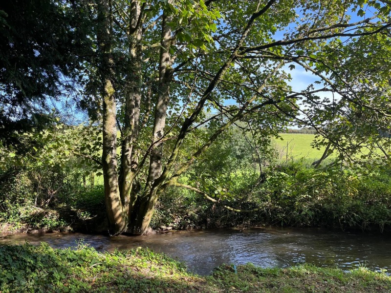 Cancer support thread 90 - still the best threads no one wants to be on