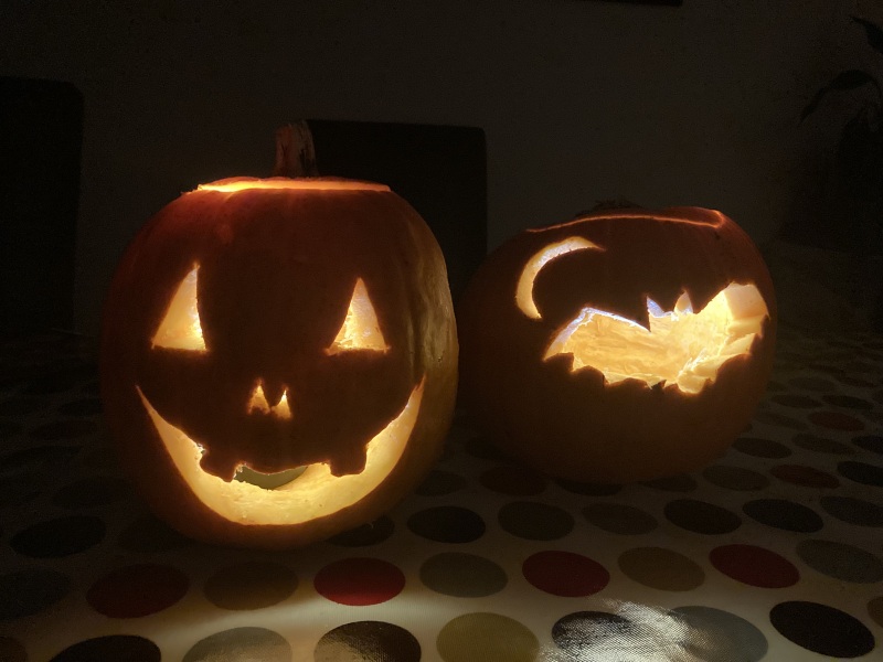 Show my your pumpkins