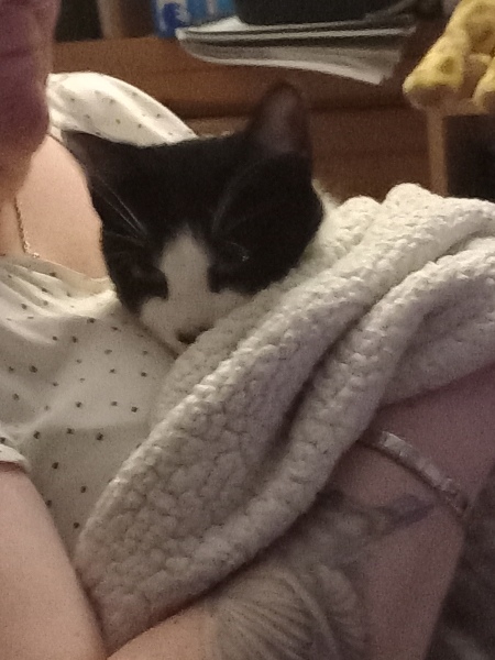 Uninvited guest, now what?