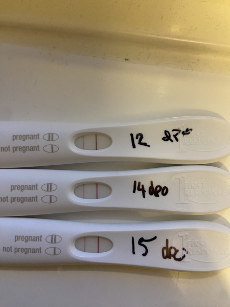 Lines the same as 12dpo at 14dpo