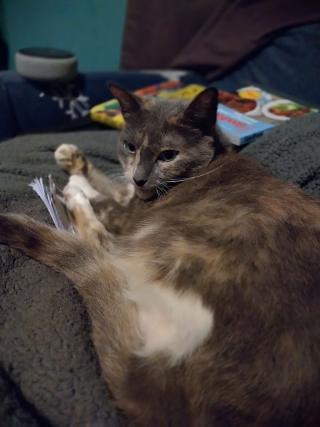 Three Legs