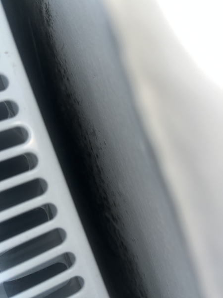 Mould behind radiator