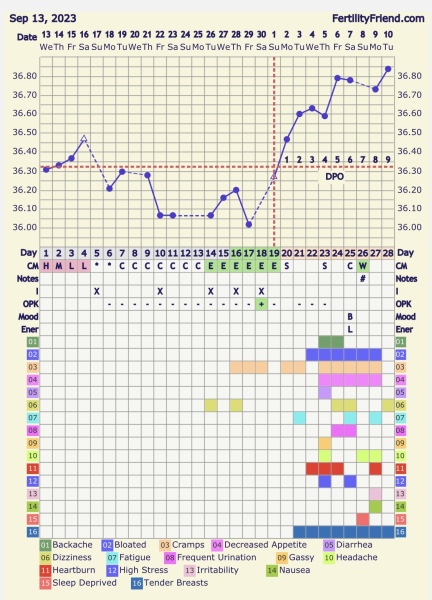 2 week wait 9DPO