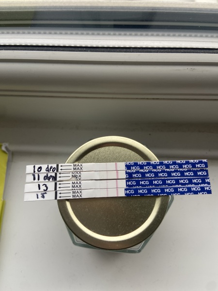 Lines the same as 12dpo at 14dpo