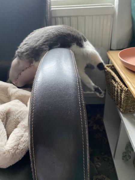Three Legs