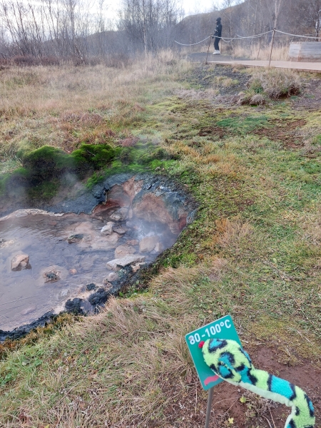 Come and tell me your dull and unexciting news 27: Calmly through the day