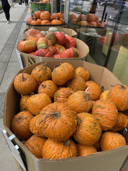 Come and tell me your dull and unexciting news 26: Calmly through the day 