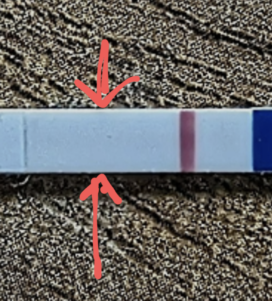 Anyone else 1dpo? Keep me company!