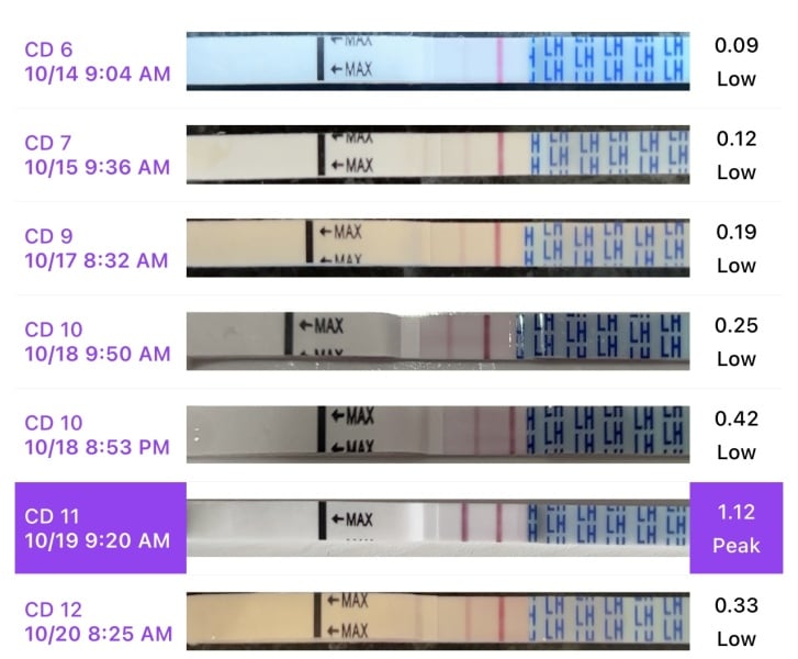 We’re ‘old schooling’ it up! Ovulation test sticks…